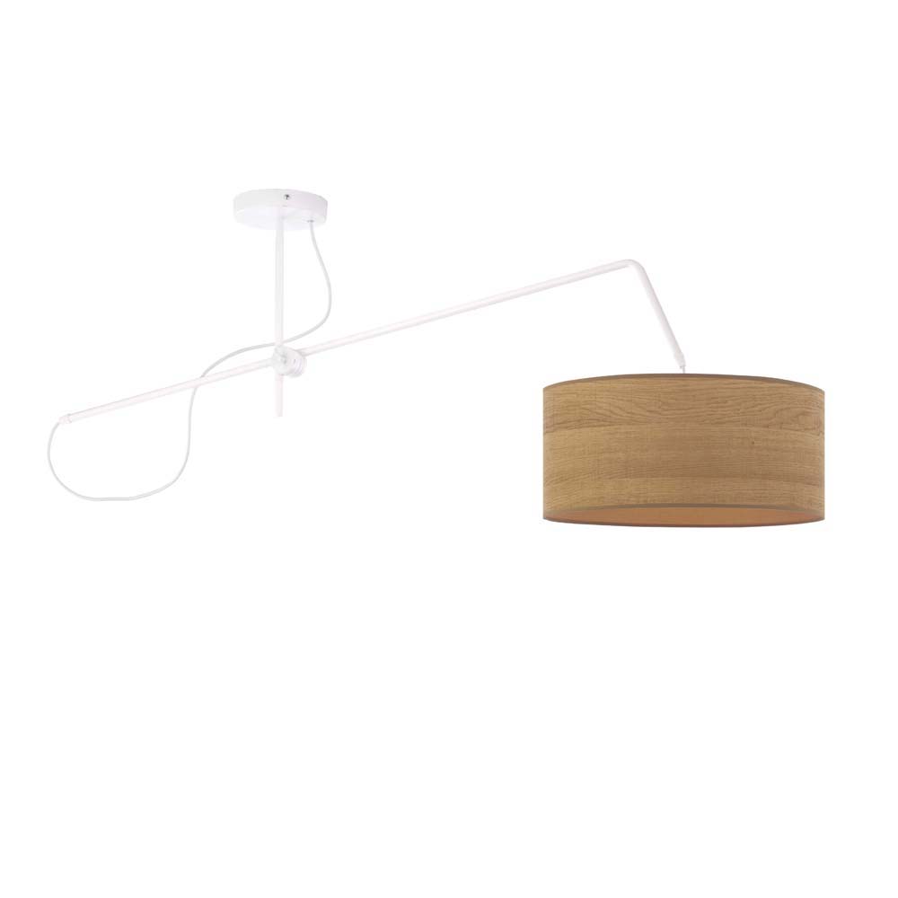 Pakabinamas šviestuvas RIO ECO LY400009-ECO