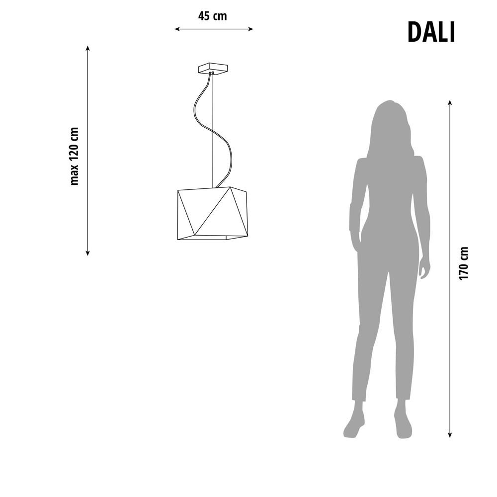 Pakabinamas šviestuvas DALI LY24873-CL
