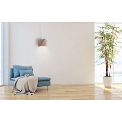 Pakabinamas šviestuvas SALLO LY11113-CL