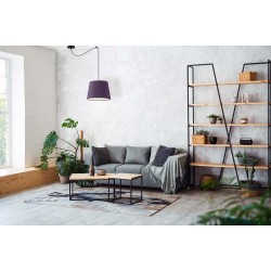 Pakabinamas šviestuvas TIMARY LY400040-CL