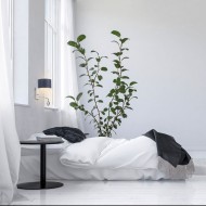 Sieninis šviestuvas FLORYDA LY14569-CL
