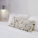 Sieninis šviestuvas IZMIR LY88906-CL