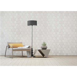 Pastatomas šviestuvas ROMA LY17206-CL