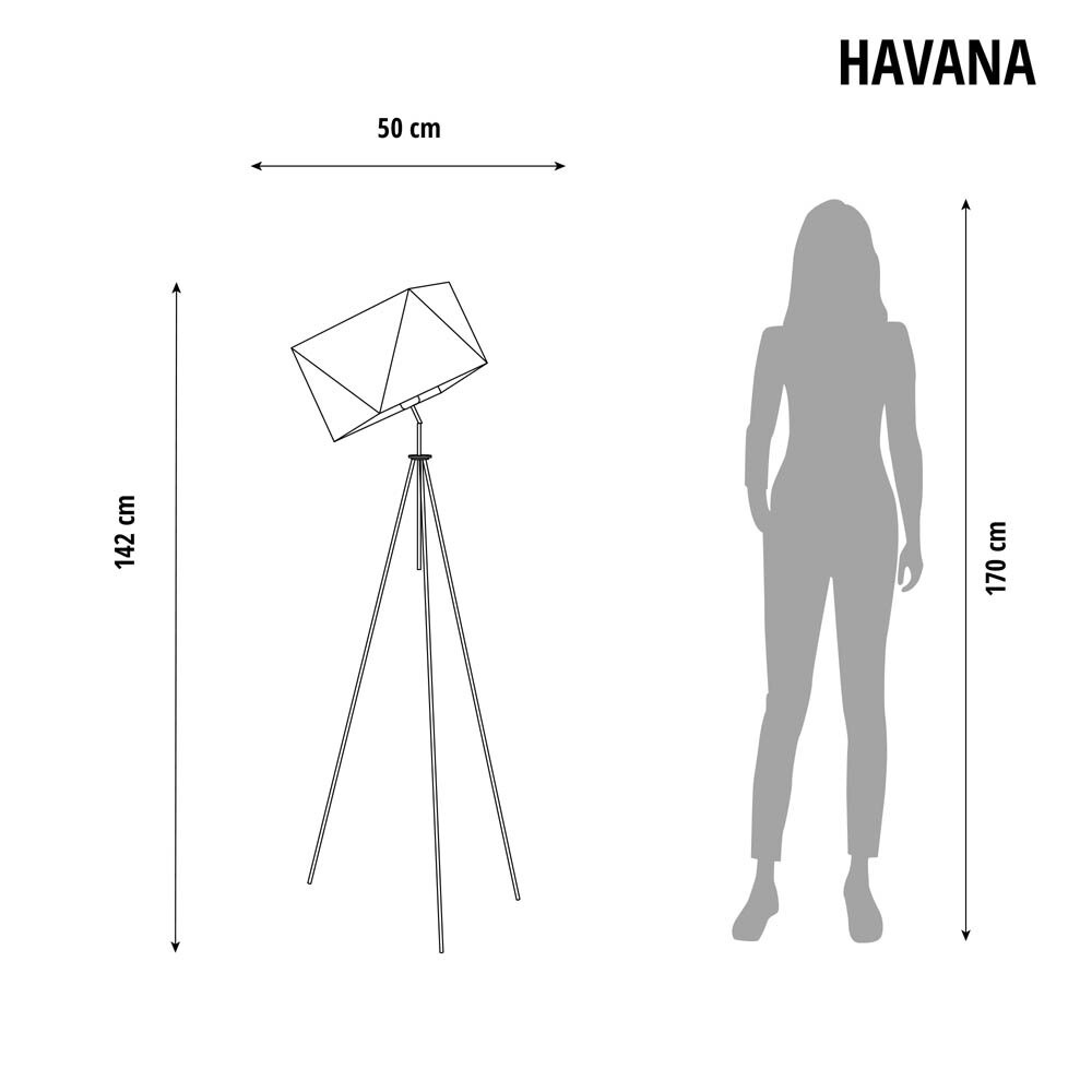 Pastatomas šviestuvas HAVANA LY14531-CL