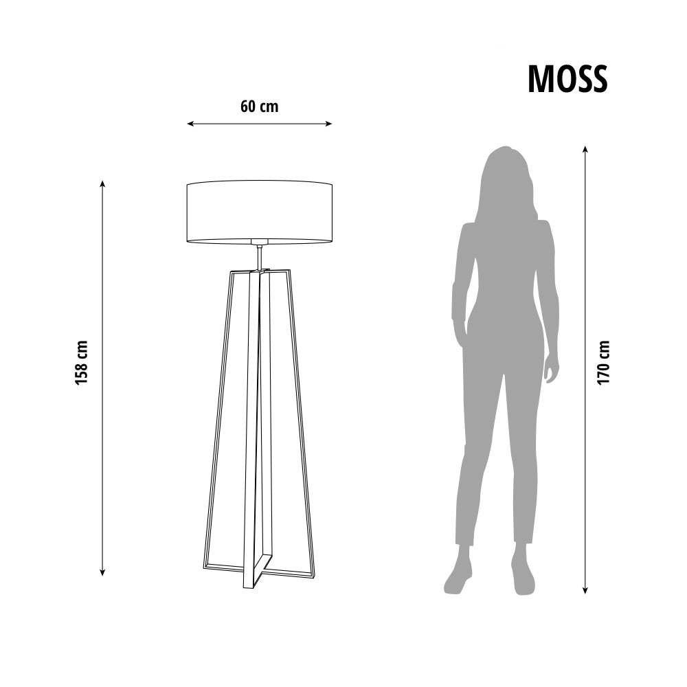 Pastatomas šviestuvas MOSS LY14520-CL