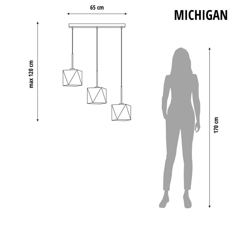 Pakabinamas šviestuvas MICHIGAN LY14581-CL
