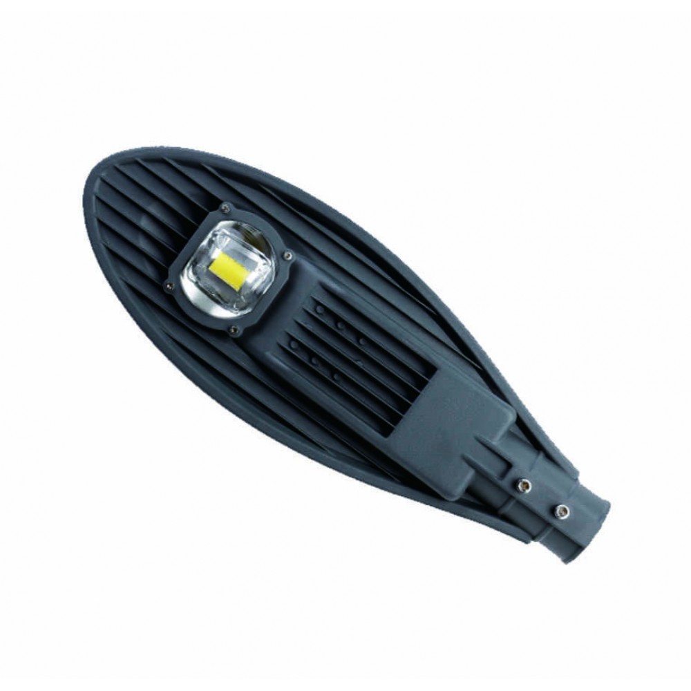 50W gatvės šviestuvas L030