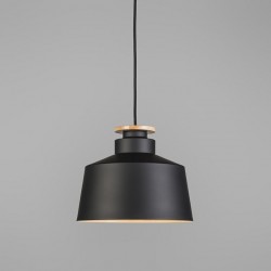 Pakabinamas šviestuvas B5501