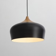 Pakabinamas šviestuvas B5464