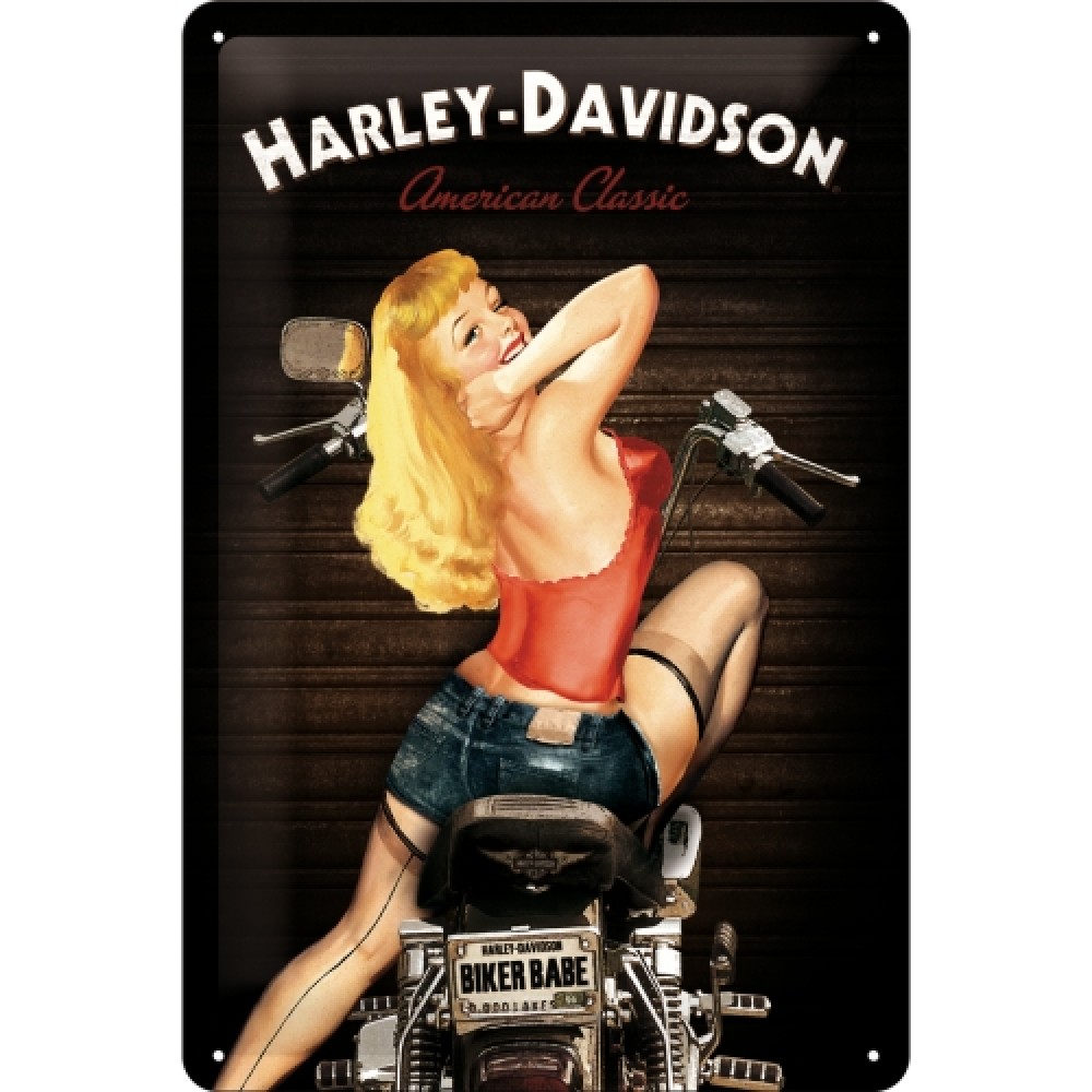 LENTELĖ "HARLEY-DAVIDSON" 22214