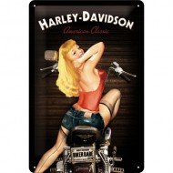 LENTELĖ "HARLEY-DAVIDSON" 22214